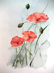 Aquarell - Mohn