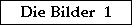 Link - Die Bilder 1
