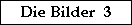 Link - Die Bilder 3